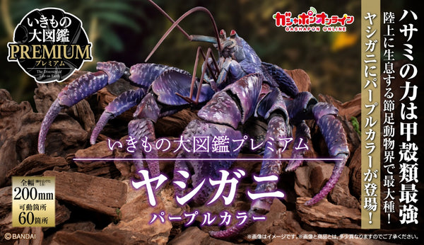 〔魂SHOP限定〕生物大圖鑑 Premium 椰子蟹（紫色）BIRGUS LATRO PURPLE COLOR